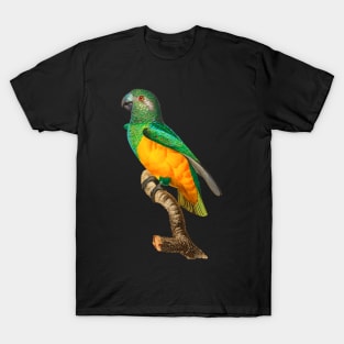 Black Panther Art - Beautiful Parrot 7 T-Shirt